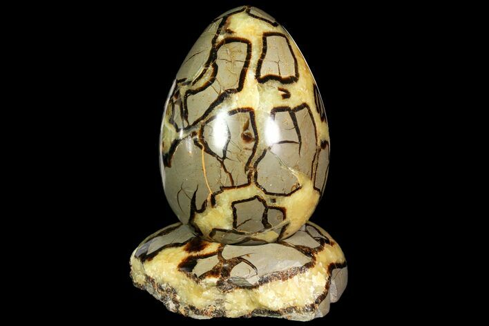 Polished Septarian Egg with Stand - Madagascar #118144